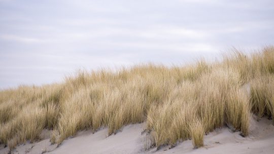 De mooiste stranden van Nederland